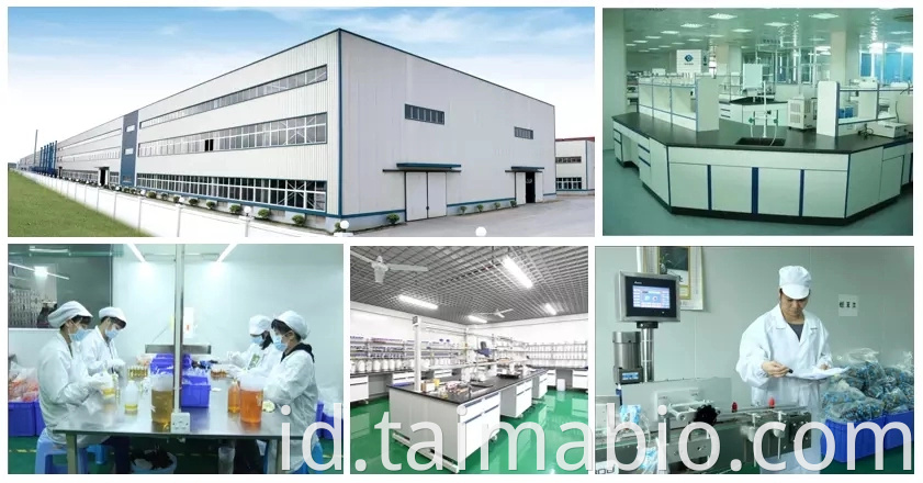 factory